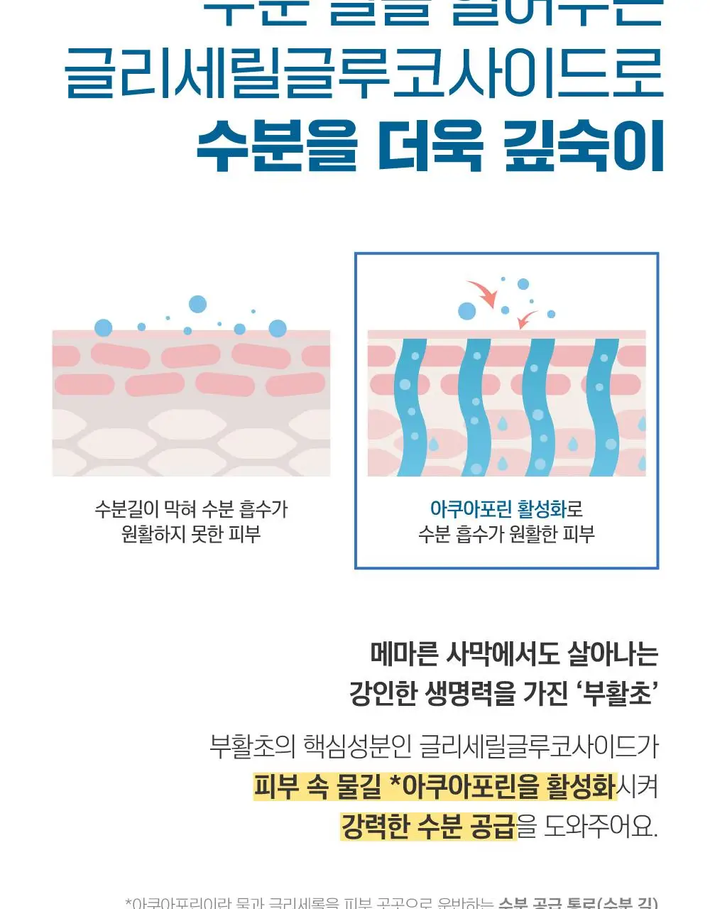 [1+1/수분썬] 라운드랩 자작나무 수분 선크림 50ml 더블 기획 상세페이지 11